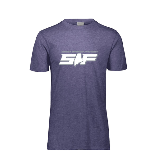 [3065-6310-RYL-AS-LOGO2] Men's Ultra-blend T-Shirt (Adult S, Royal, Logo 2)