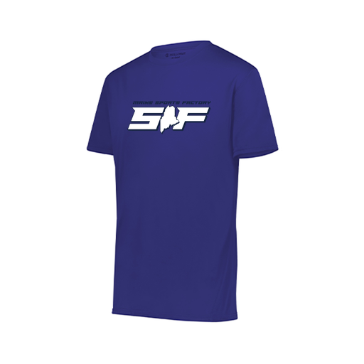 [222818.747.S-LOGO1] Men's Movement Dri Fit Shirt (Adult S, Purple, Logo 1)